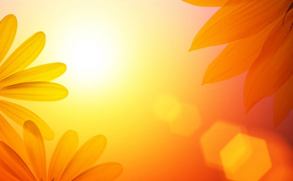 Orange and yellow floral background including single eye logo.